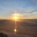 Gallery Thumbnail 43