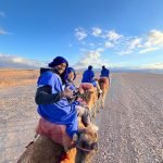 Gallery Thumbnail 17