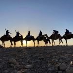 Gallery Thumbnail 39