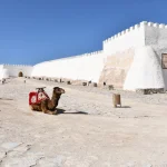 Gallery Thumbnail 10