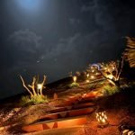 Gallery Thumbnail 17