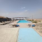 Gallery Thumbnail 20