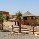 Gallery Thumbnail 26