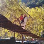 Gallery Thumbnail 23