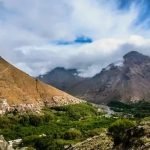 Gallery Thumbnail 12