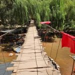 Gallery Thumbnail 11