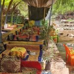 Gallery Thumbnail 13