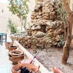 Gallery Thumbnail 11