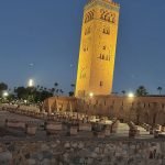 Gallery Thumbnail 11