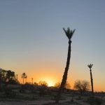 Gallery Thumbnail 12