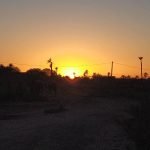 Gallery Thumbnail 10