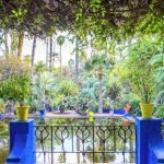 Gallery Thumbnail 13