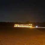 Gallery Thumbnail 11