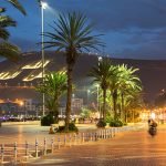 Gallery Thumbnail 12