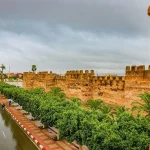 Gallery Thumbnail 17