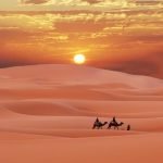 Gallery Thumbnail 19