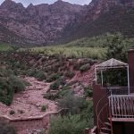 Gallery Thumbnail 10