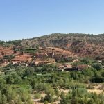 Gallery Thumbnail 19