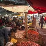 Gallery Thumbnail 21