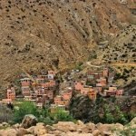 Gallery Thumbnail 17