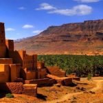 Gallery Thumbnail 11