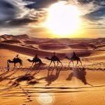 Gallery Thumbnail 17