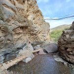 Gallery Thumbnail 2